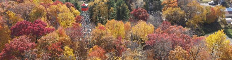 fall colors of Linwood